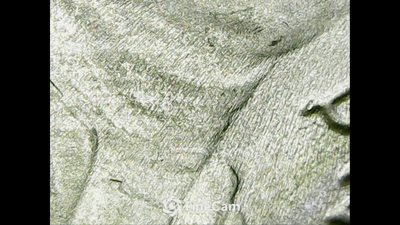 New-2023-D-Nickel-With-A-Bubbly-Surface